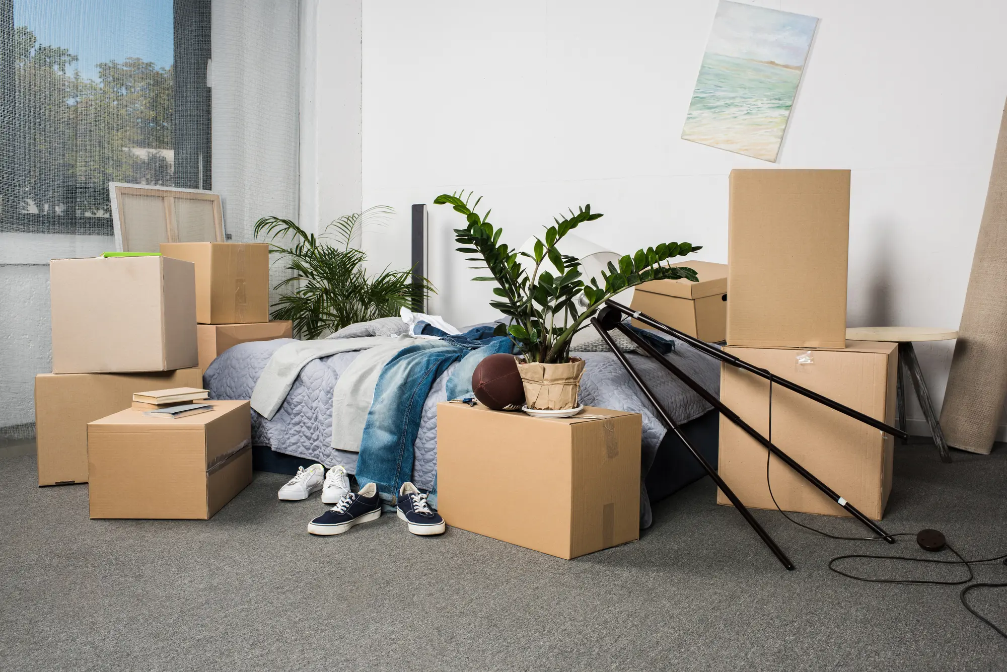 Long-Distance-Relocation--in-Goodyear-Arizona-long-distance-relocation-goodyear-arizona.jpg-image